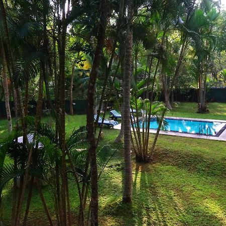Chandra Villa Ayurveda Resort Bentota Kültér fotó